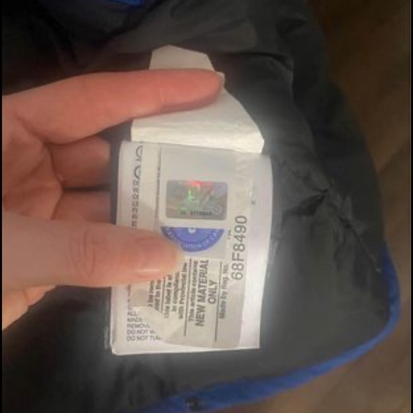 Canada goose - Picture 4 of 4